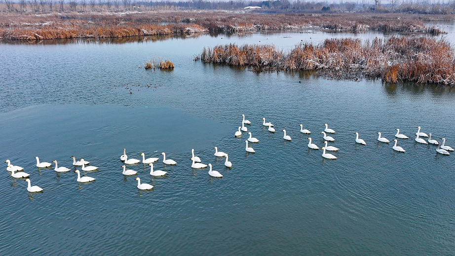 Nature reserves in China, France attract more wildlife species