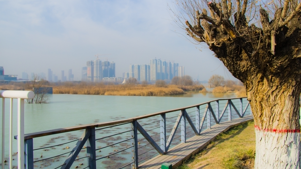 File photo of the polluted Bahe River. /Photo provided by Feng Chuangmin