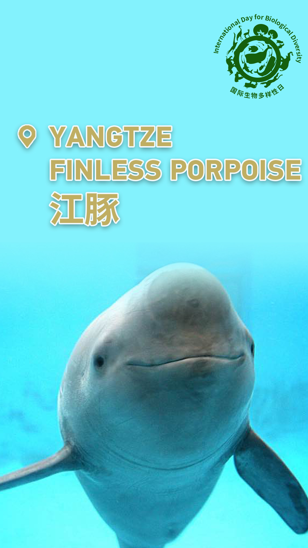 Check out China's cute animals on International Day for Biological Diversity