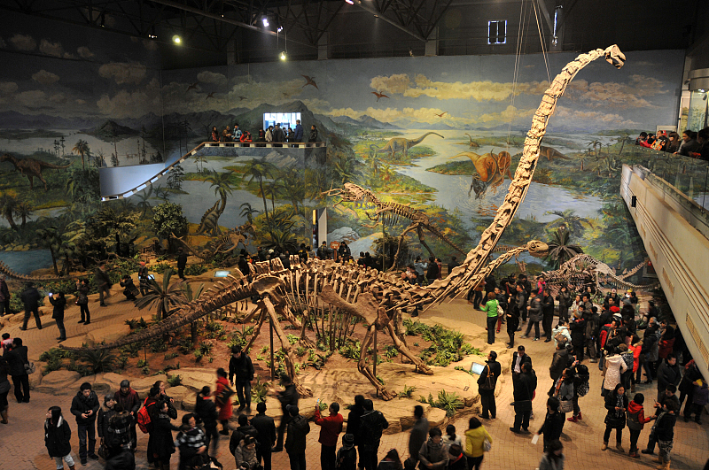 People visit the Zigong Dinosaur Museum in Zigong City, Sichuan Province. /CFP