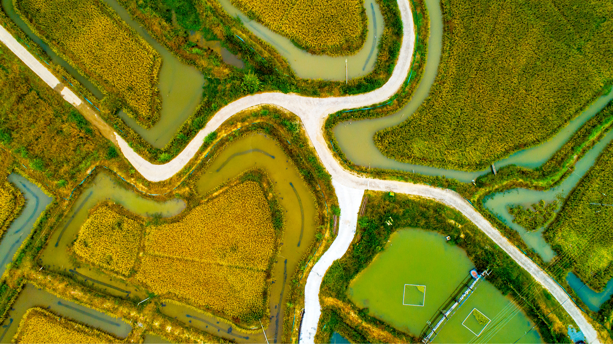 A bird's eye view of rural roads winding through forests and fields in Dehua County, Quanzhou City, southeast China's Fujian Province, October 6, 2020. /CFP