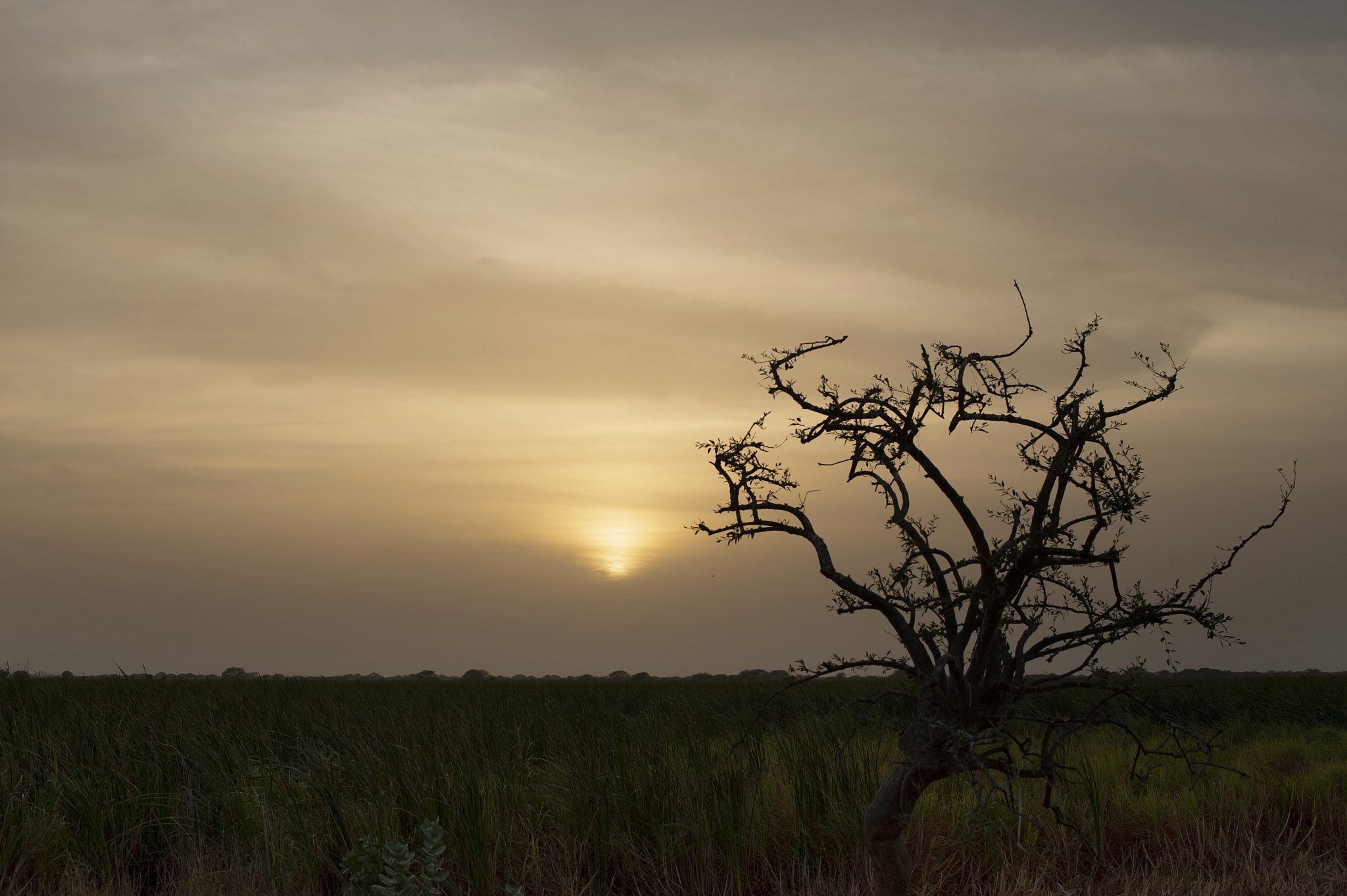 Sunset in South Sudan. /CFP