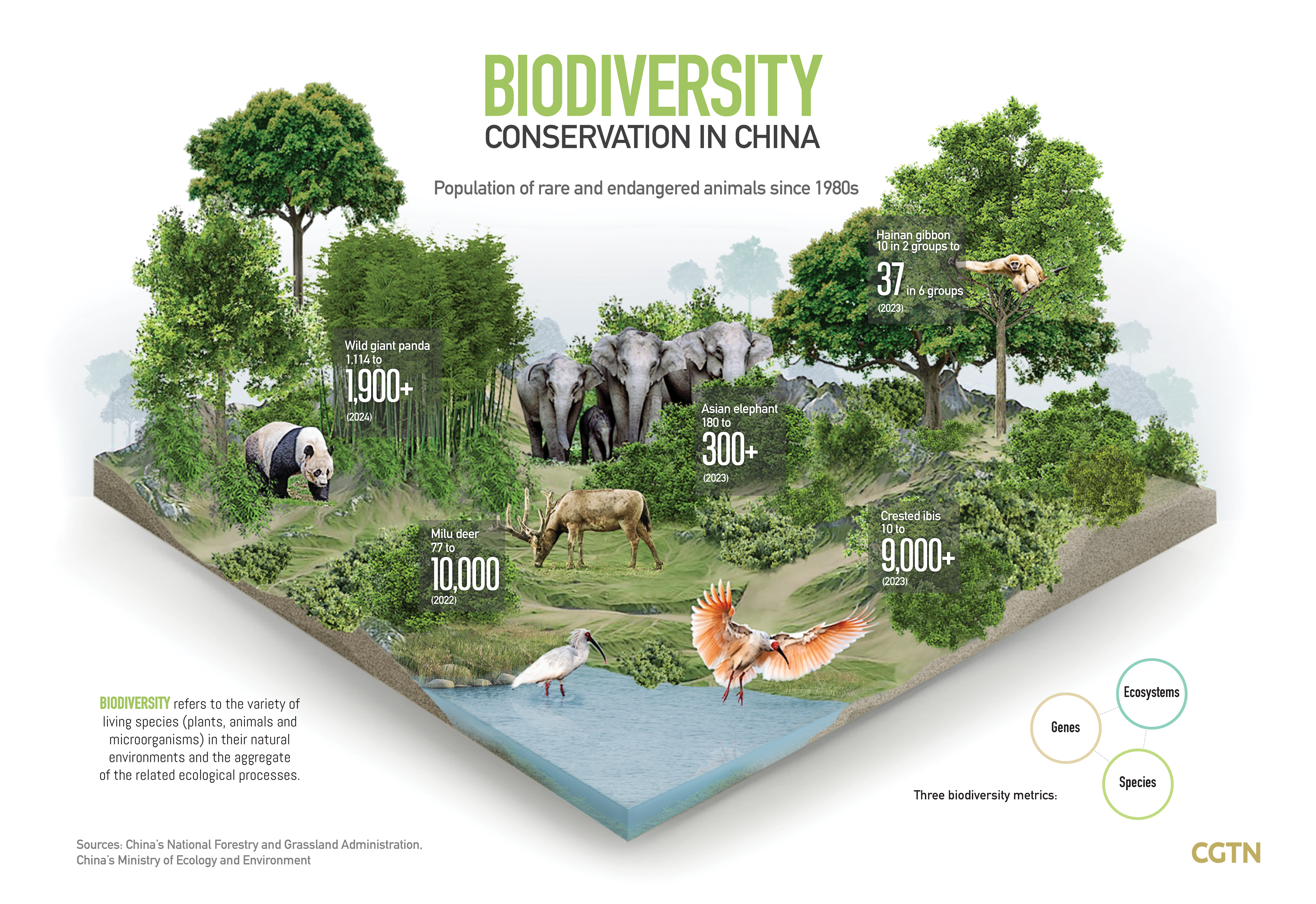 International Day for Biological Diversity: From China to the world