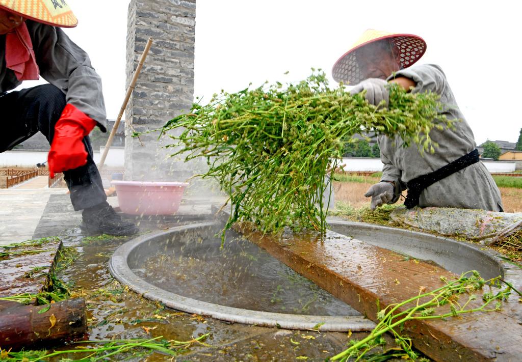 Village residents scald herbs while processing herbs for scented sachets in Shouxian County of Huainan, Anhui Province on May 21, 2024. /CFP