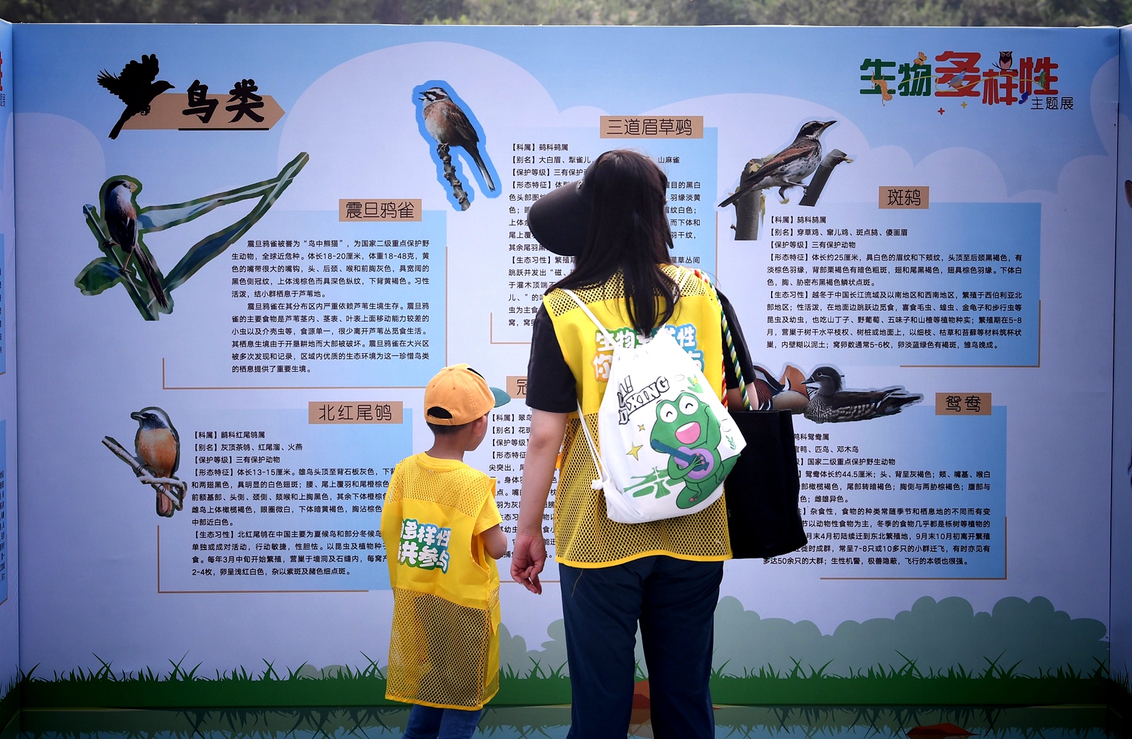 Exhibition on birds, Beijing Wildlife Park, Beijing, China, May 22, 2024. /CFP