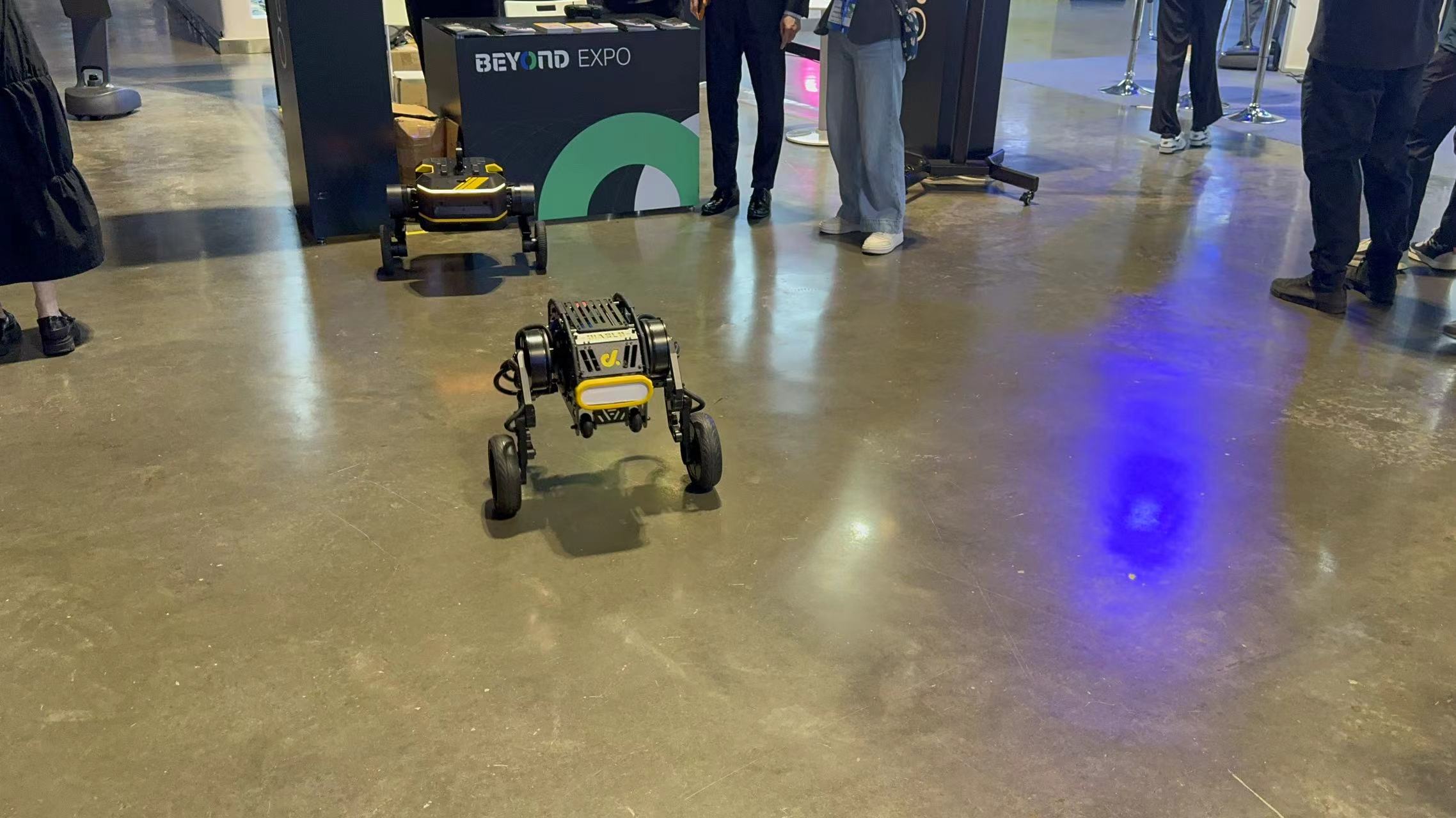 Robots being showcased at the BEYOND Expo 2024, in Macao, China. /CFP