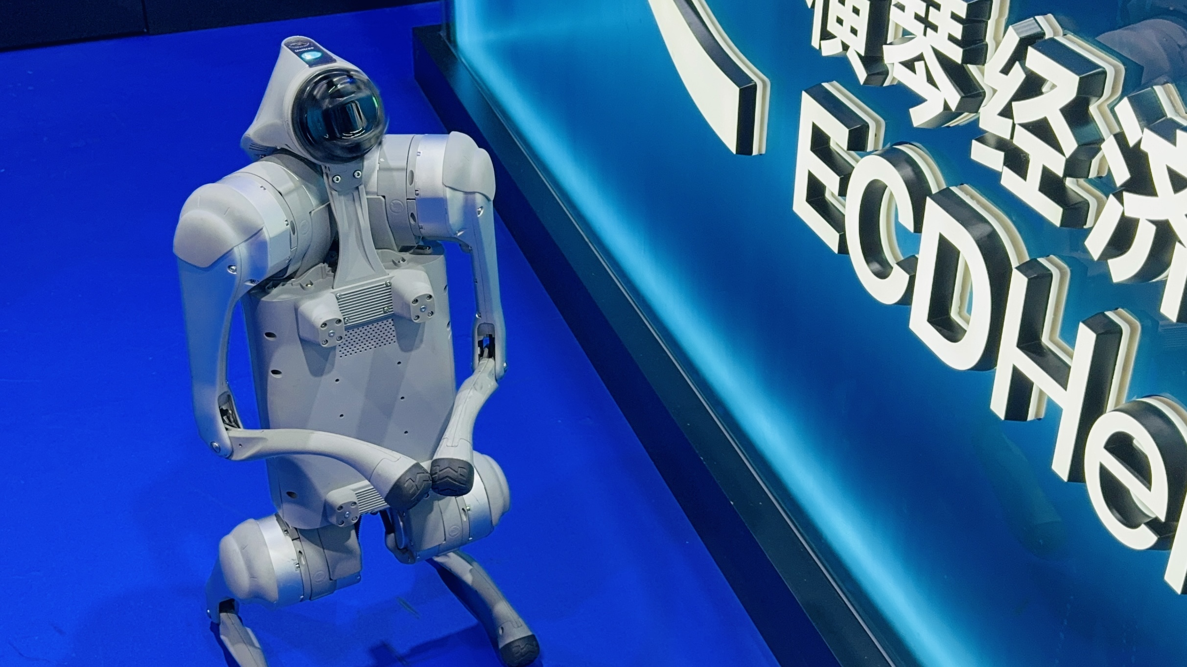 An intelligent robot at the BEYOND Expo 2024, in Macao, China. /CFP