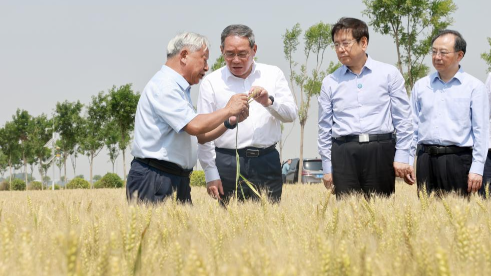 Chinese Premier Li Qiang (L2), also a member of the Standing Committee of the Political Bureau of the Communist Party of China Central Committee, inspects high-standard farmlands in the city of Xinxiang, central China's Henan Province, May 23, 2024. /Xinhua