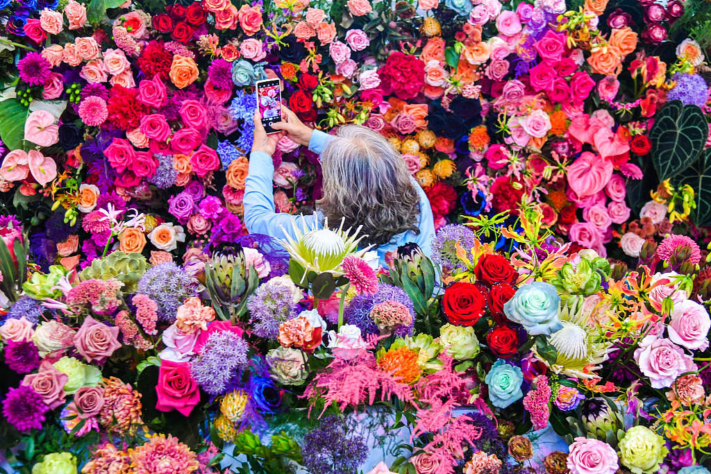 A visitor takes photos of flowers during the 26th Hortiflorexpo IPM Beijing at the China International Exhibition Center (Shunyi Hall) on May 24, 2024. /CFP