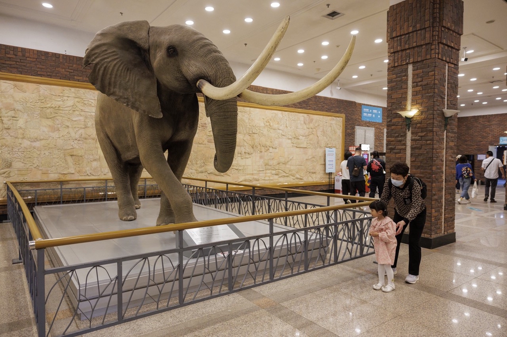 People visit the Dalian Natural History Museum in Dalian, Liaoning Province, May 25, 2024. /IC