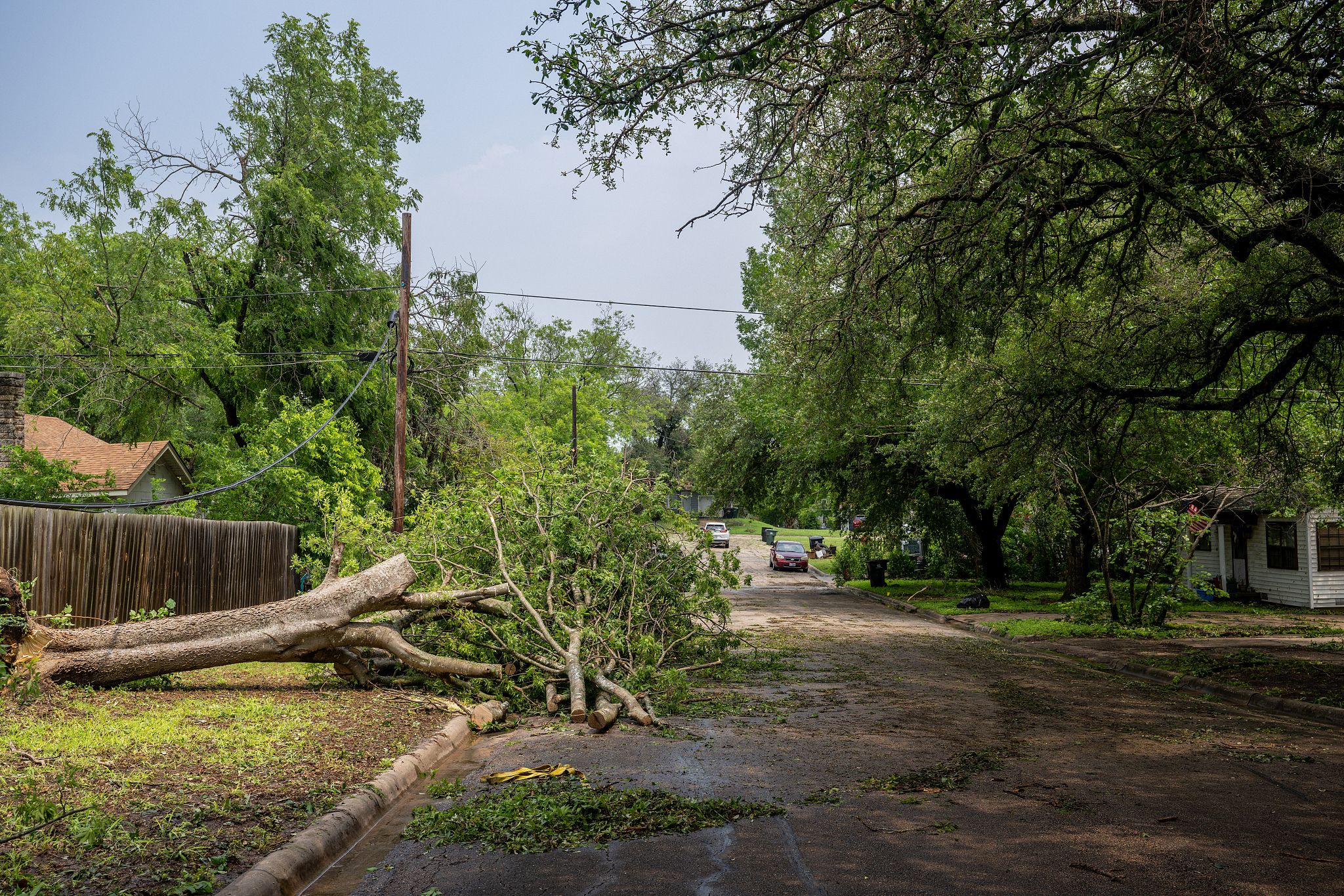 A toppled tree sits on the side of a street following a tornado in Temple, Texas, U.S., May 23, 2024. /CFP