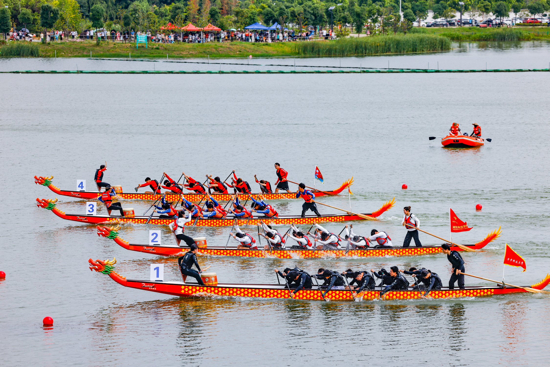 Dragon boat teams are pictured during a dragon boat race at Dugonghu National Wetland Park in Wuhan, Hubei Province on May 26, 2024. /IC