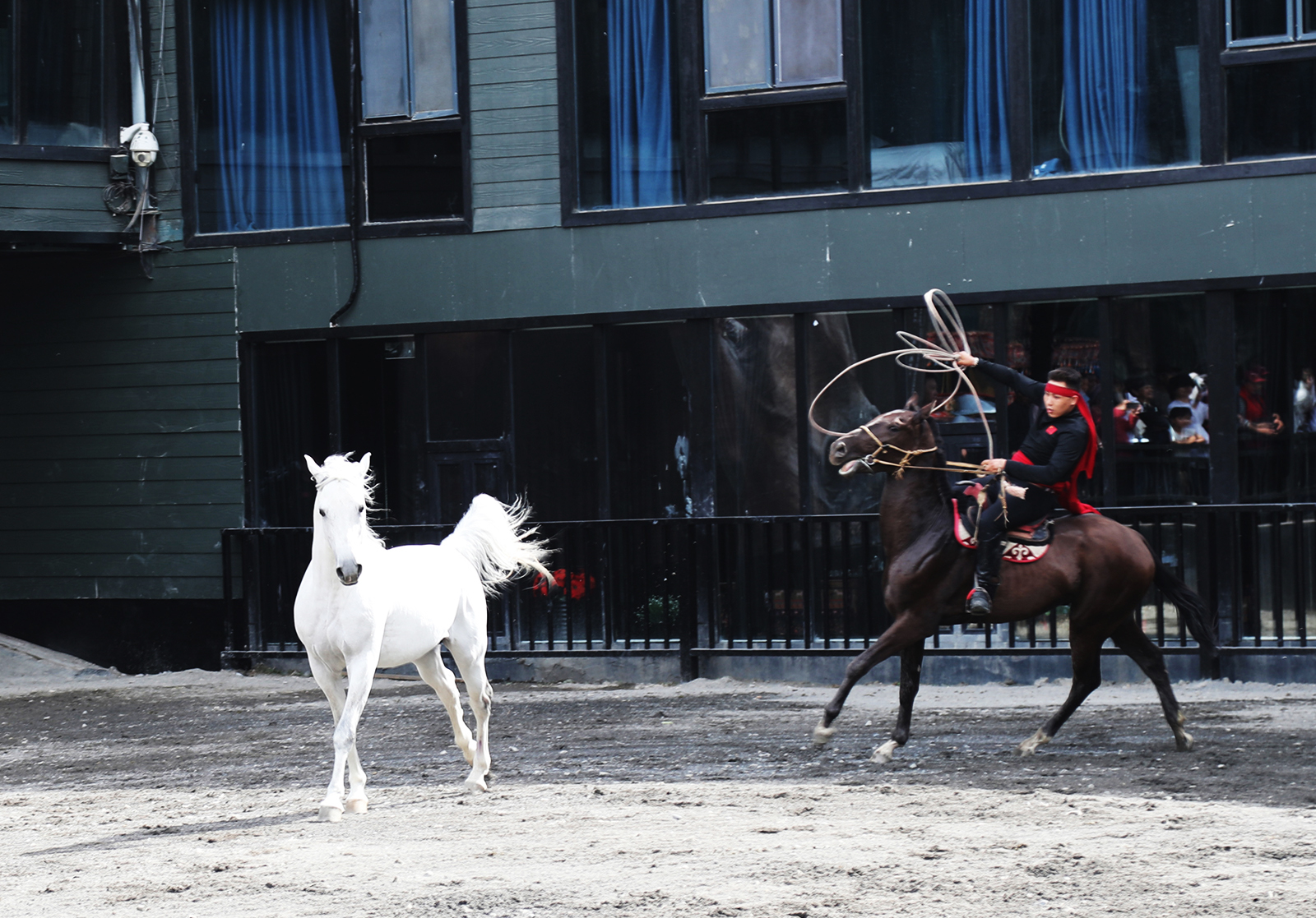 A horse performance is staged at a horse base in Urumqi, Xinjiang. /CGTN