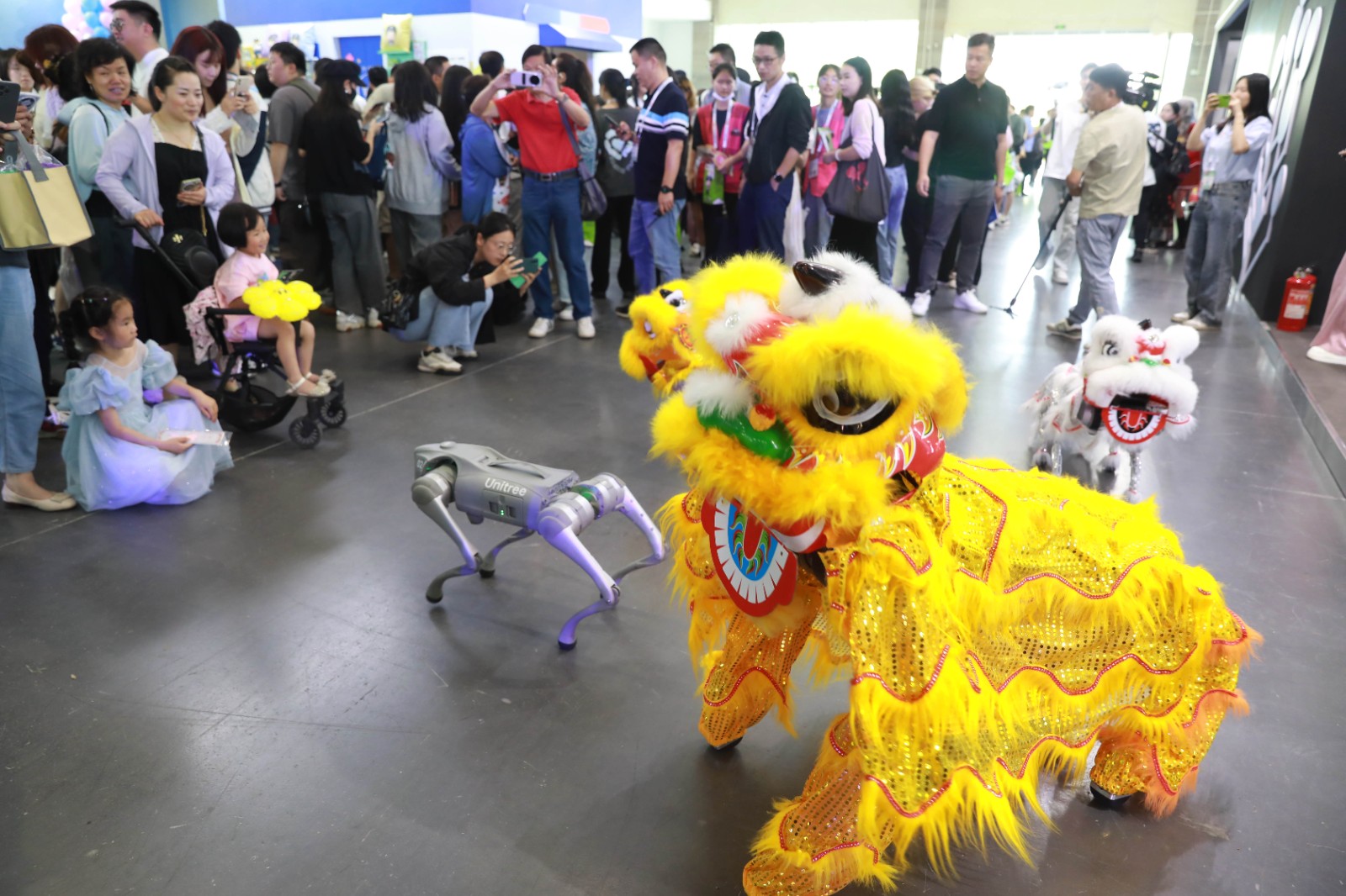 A robot lion-dancer is unveiled at the 20th China International Cartoon and Animation Festival in Hangzhou on May 29, 2024. /IC