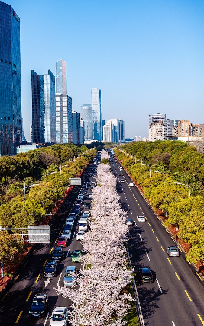 Cherry blossoms at the Suzhou Industrial Park, Suzhou City, Jiangsu Province, east China, March 29, 2024. /CFP