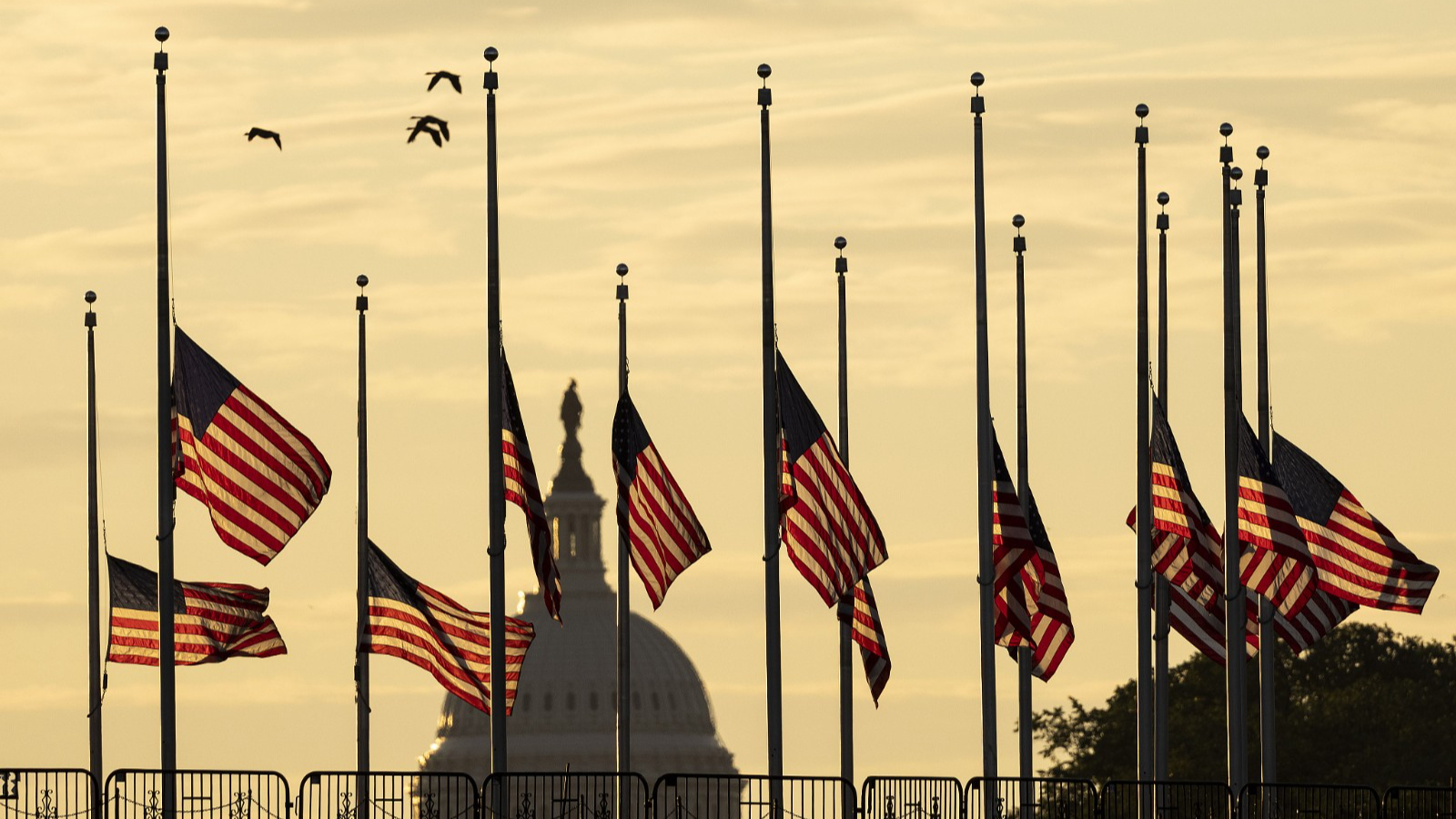 American flags fly at half-staff in response to the San Jose mass shooting at the base of the Washington Monument on the National Mall in Washington, D.C., U.S., May 27, 2021. /CFP