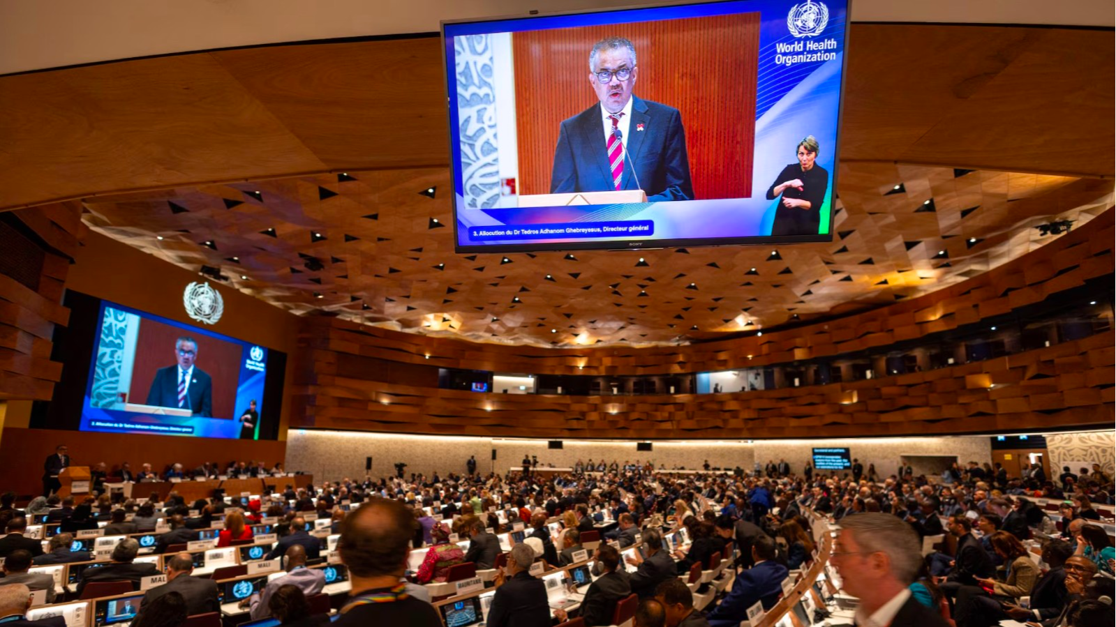 Director-General of the World Health Organisation (WHO) Dr Tedros Adhanom Ghebreyesus attends the World Health Assembly (WHA) at the United Nations in Geneva, Switzerland, May 27, 2024. /Reuters