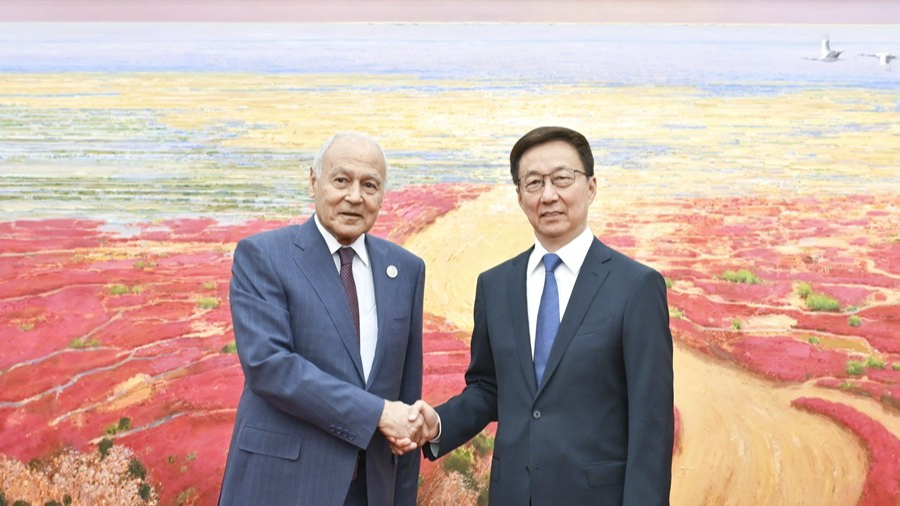 Chinese Vice President Han Zheng (R) shakes hands with Secretary-General of the League of Arab States Ahmed Aboul-Gheit in Beijing, China, May 29, 2024. /Xinhua