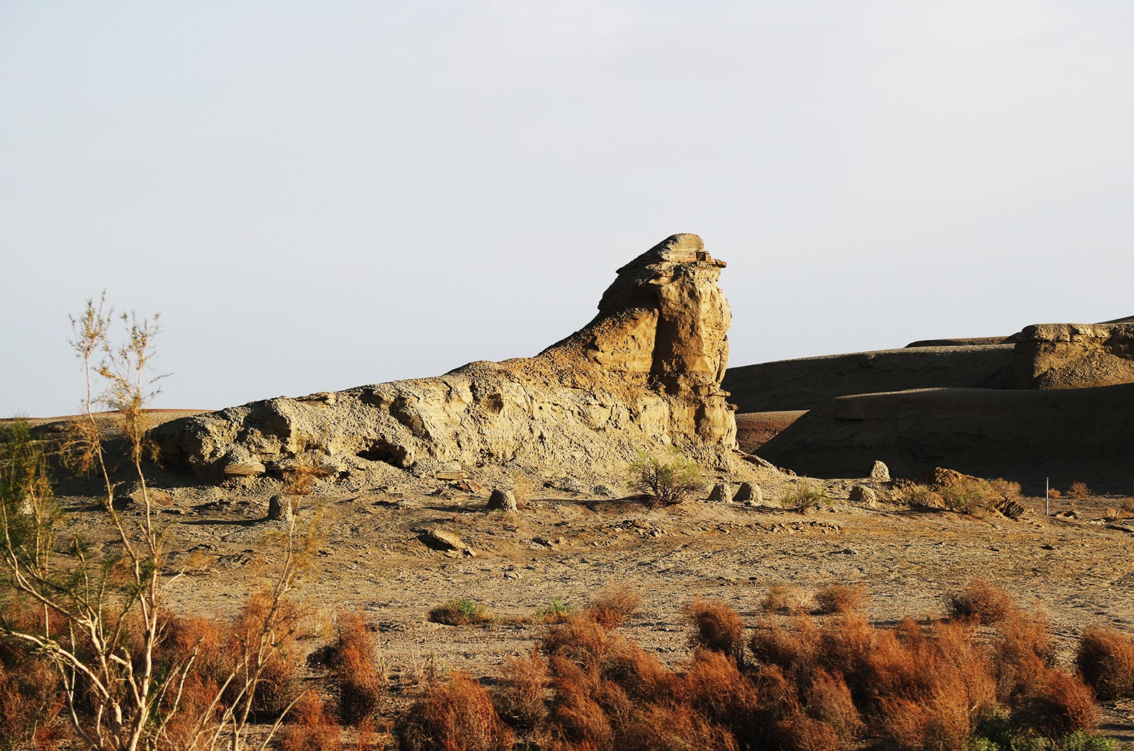 A wind-eroded rock forms the shape of a lion at the 