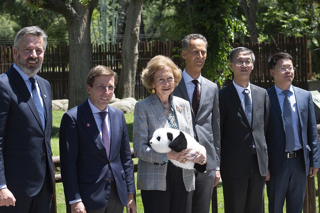 From left to right: Director of the Madrid Zoo Aquarium Ricardo Esteban, Mayor of Madrid Jose Luis Martinez-Almeida, former Spanish Queen Sofia, CEO of the Parques Reunidos Group Pascal Ferracci, and Chinese ambassador to Spain Yao Jing, attend a ceremony for the two new pandas at the Madrid Zoo Aquarium in Spain on May 30, 2024. /CFP