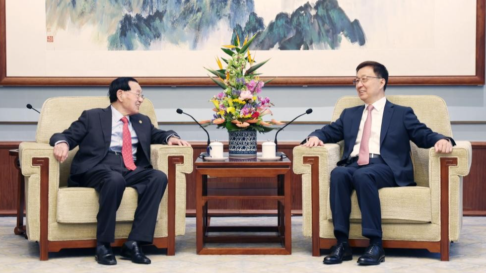 Chinese Vice President Han Zheng (R) meets with Dr. James S.C. Chao, chairman of Foremost Group, Beijing, China, June 3, 2024. /Xinhua
