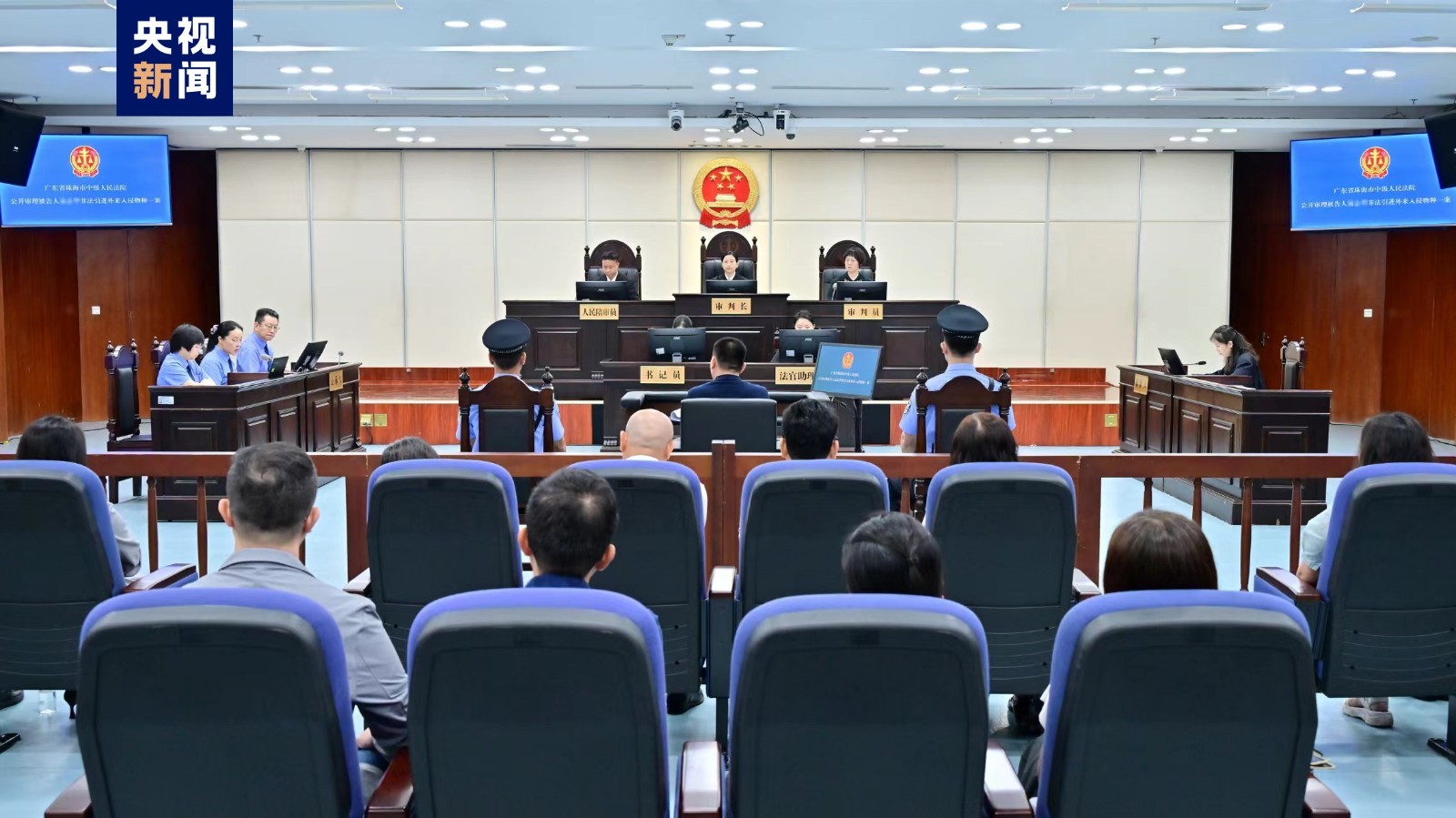 The intermediate people's court in Zhuhai City, south China's Guangdong Province held a public trial on Wednesday for the smuggling of 1,760 red-eared slider turtles into China. /CMG