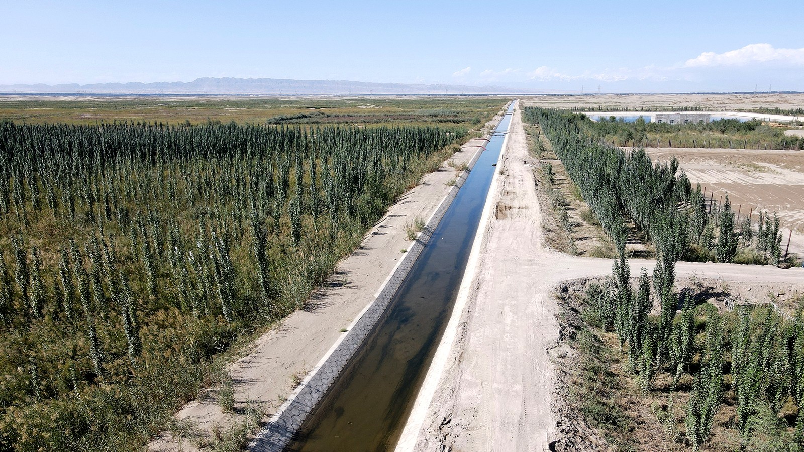 Ecological restoration and desertification control project in Aksu City, Xinjiang Uygur Autonomous Region, northwest China, September 5, 2023. /CFP
