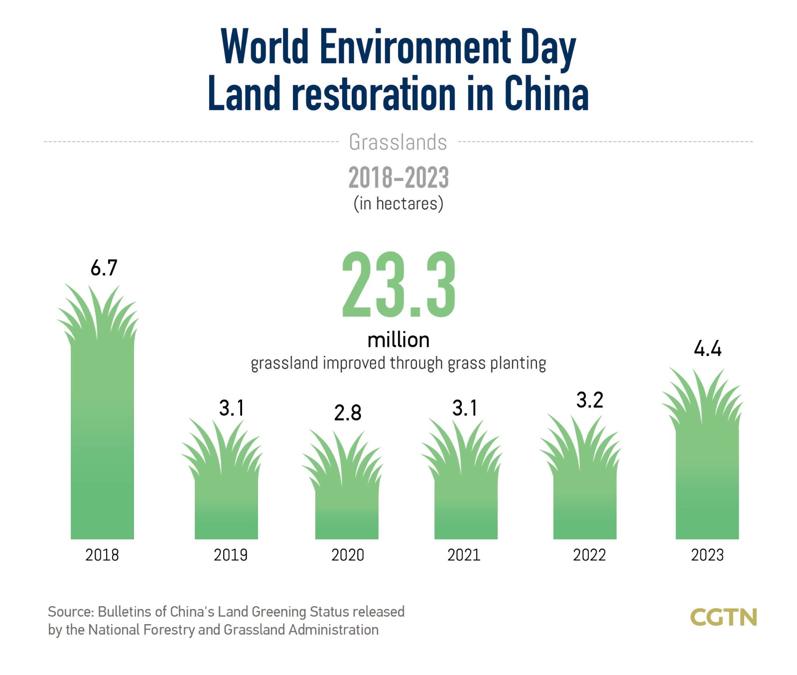 World Environment Day: China's green efforts in a decade