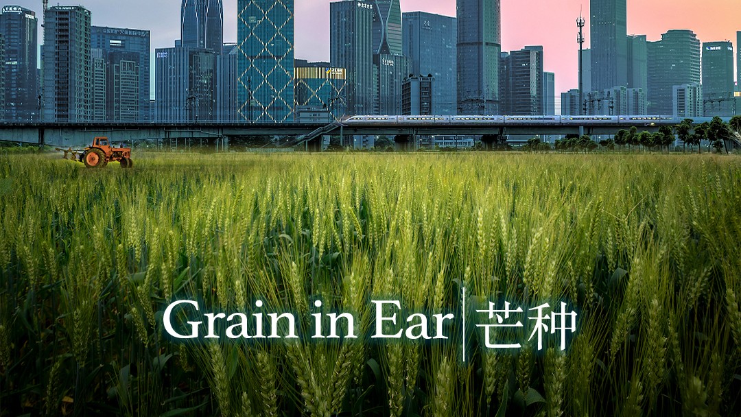 The ninth solar term Grain in Ear