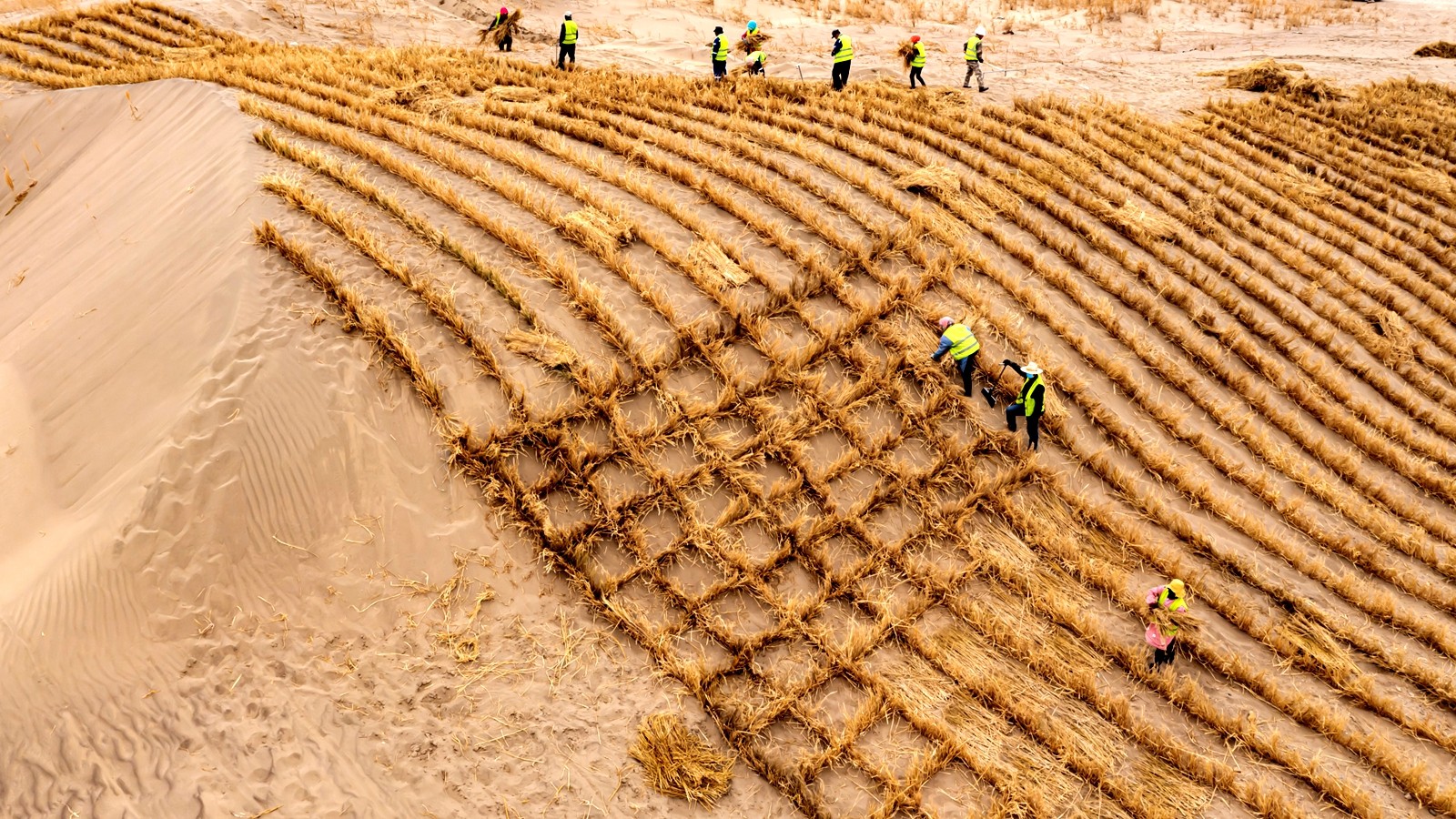 Workers arrange grass grids in Jiuquan City, Gansu Province, northwest China, March 22, 2024. /CFP