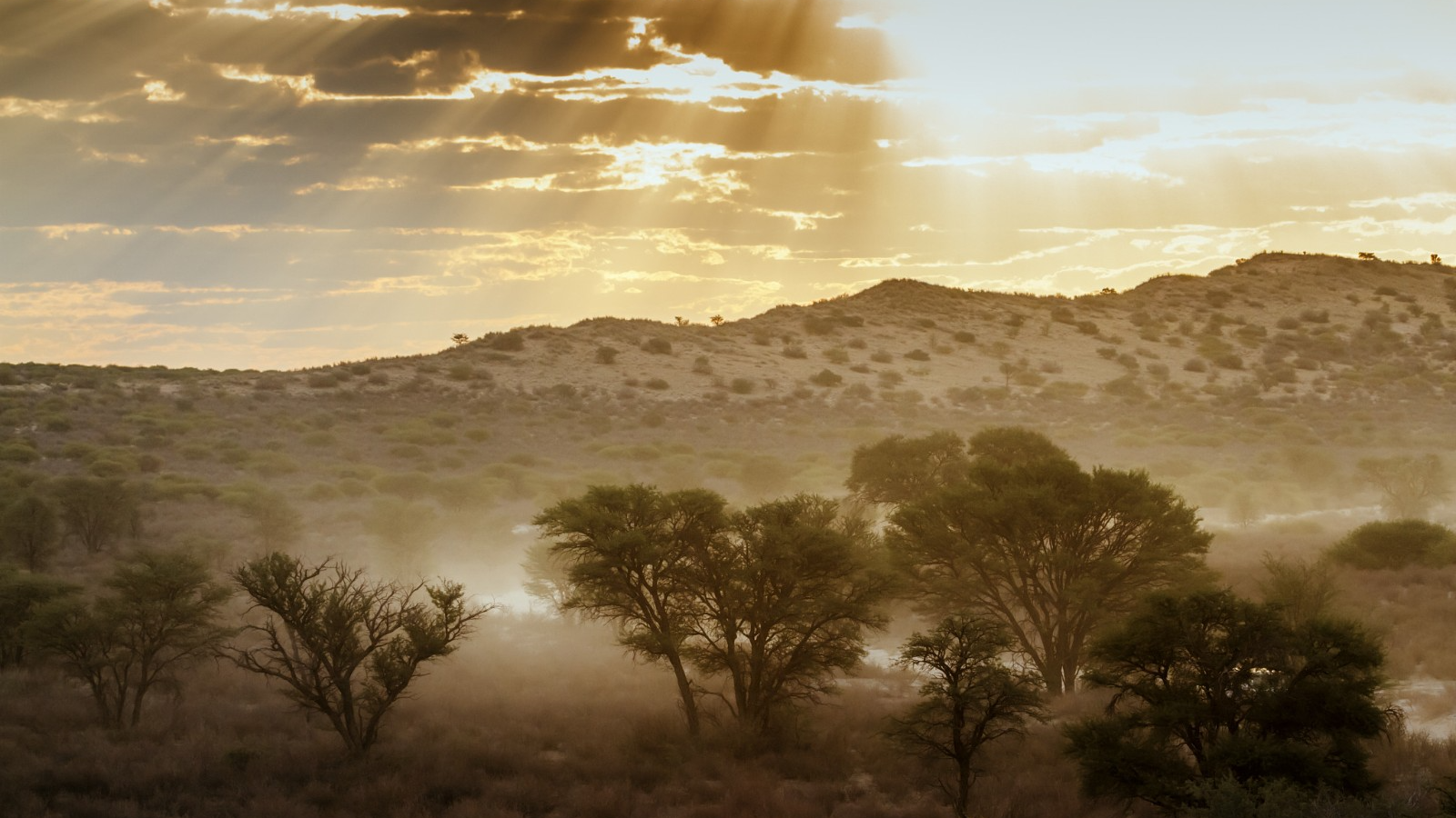 View of Kgalagadi Transfrontier Park in Northern Cape, South Africa. /CFP