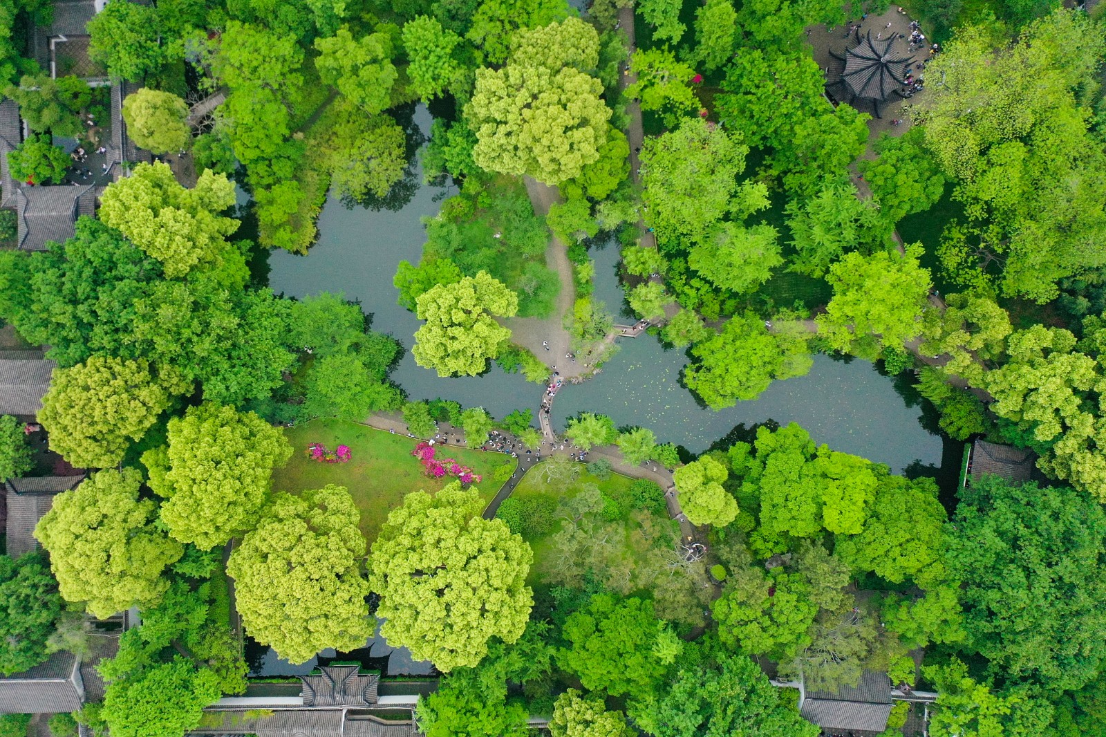 The Humble Administrator's Garden is seen in this aerial view with lush, green trees and beautiful spring scenery in Suzhou, Jiangsu Province, on April 28, 2024. /CFP