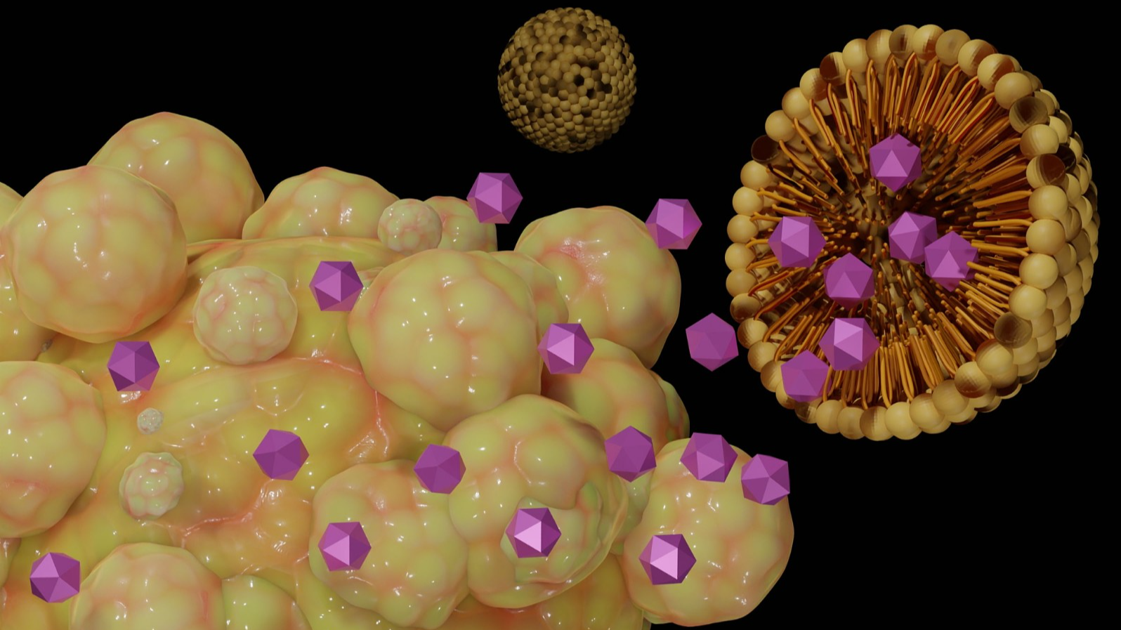 An illustration shows how liposome-encapsulated nanomedicine targets cancer cells. /CFP