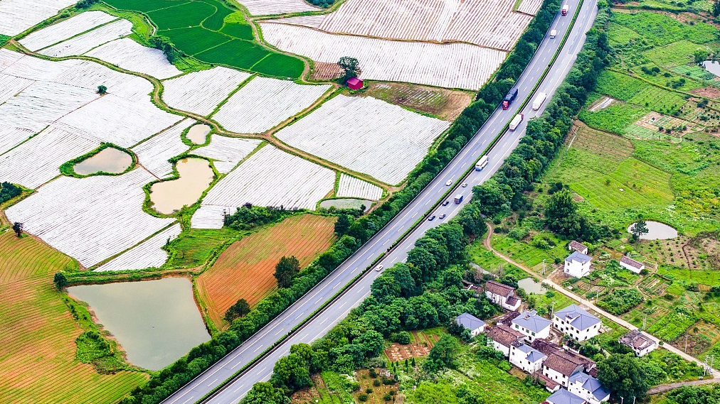 The Jinan–Guangzhou expressway seen against the backdrop of Chinese medicinal material planting bases, rural roads and villages in Fuzhou, Jiangxi Province, China, June 4, 2024. /CFP