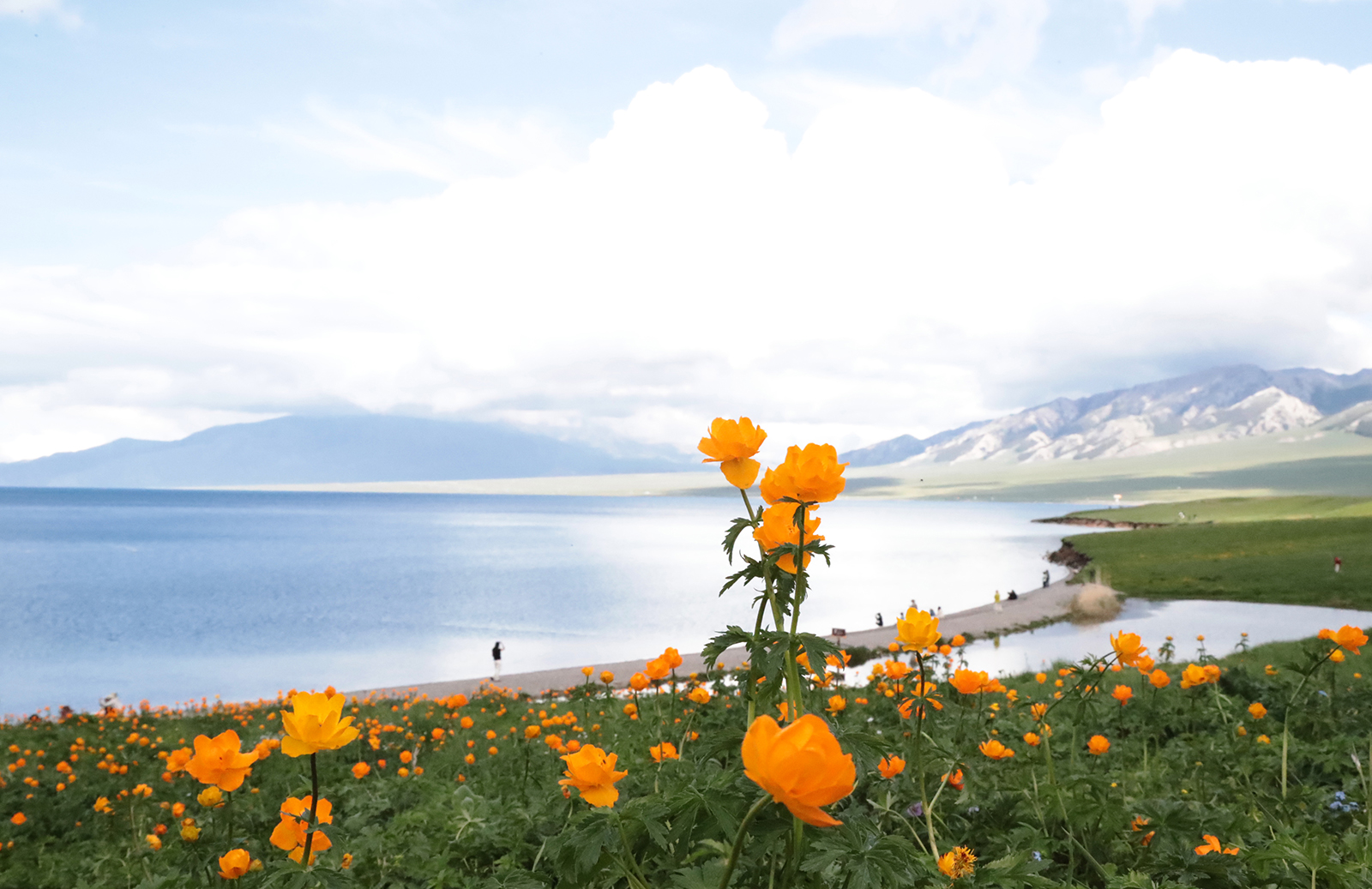 Flowers bloom around Sayram Lake in Xinjiang. /CGTN