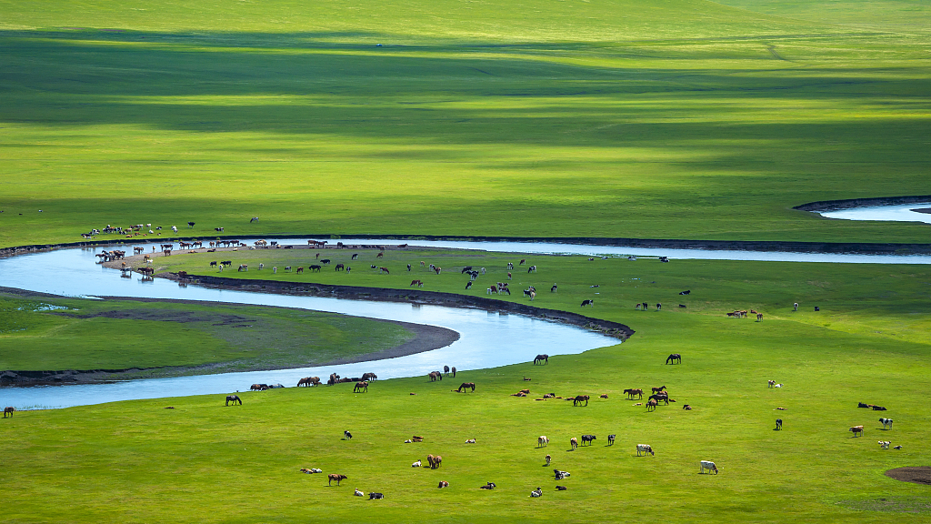 An undated photo shows a view of Hulun Buir Grassland in north China’s Inner Mongolia Autonomous Region. /CFP