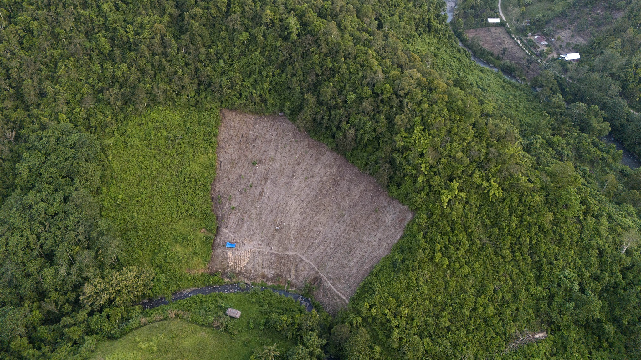 A swath of forest on a hill is cleared from trees to make way for a corn plantation in Polewali Mandar, South Sulawesi, Indonesia, April 20, 2024. /CFP