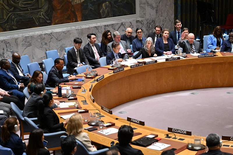 United Nations Security Council members vote during a meeting on the situation in the Middle East at the UN headquarters in New York, June 10, 2024. /CFP