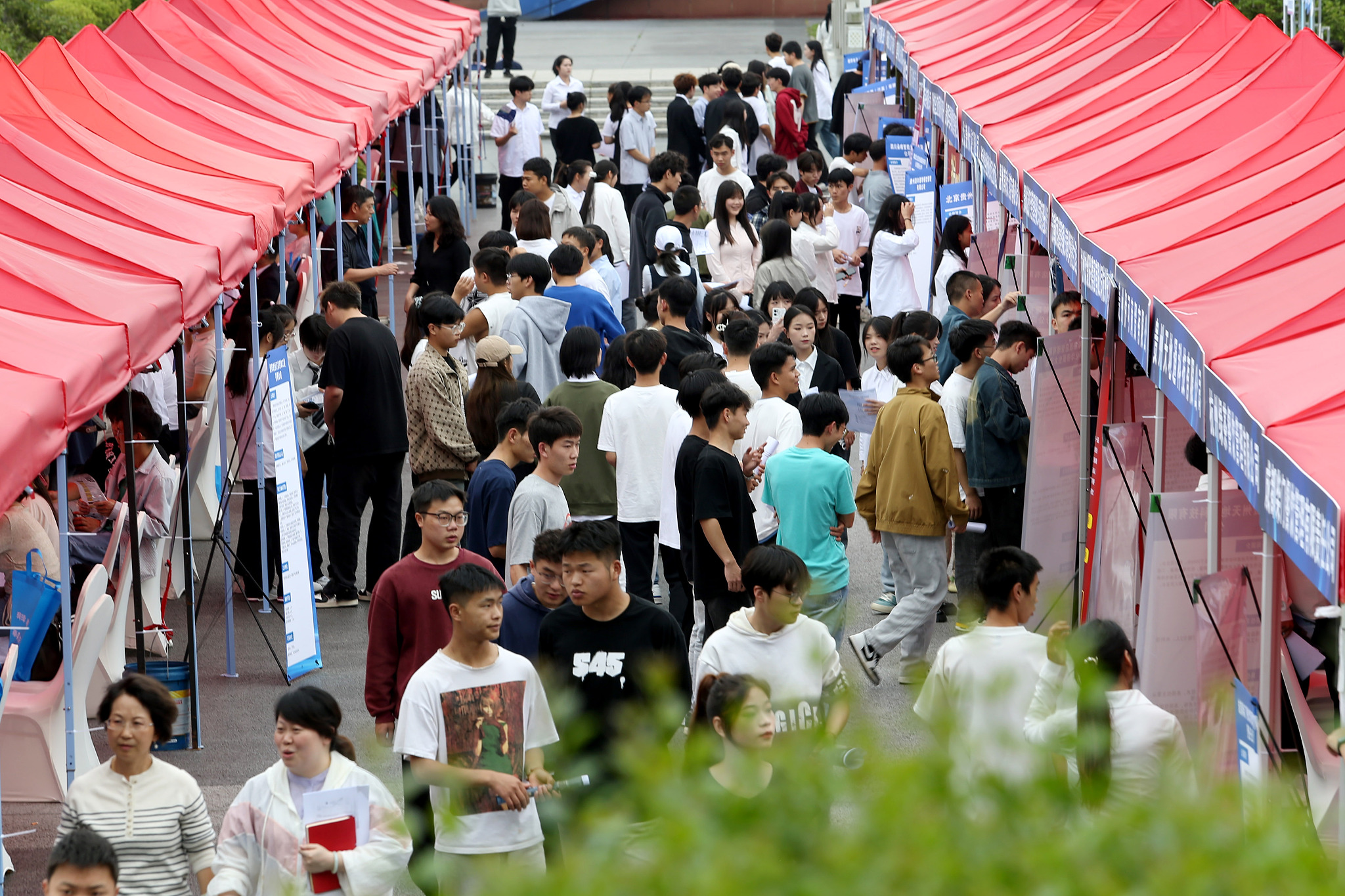 College graduates seeking jobs at a campus job fair, Guizhou Province, June 6, 2024. /CFP
