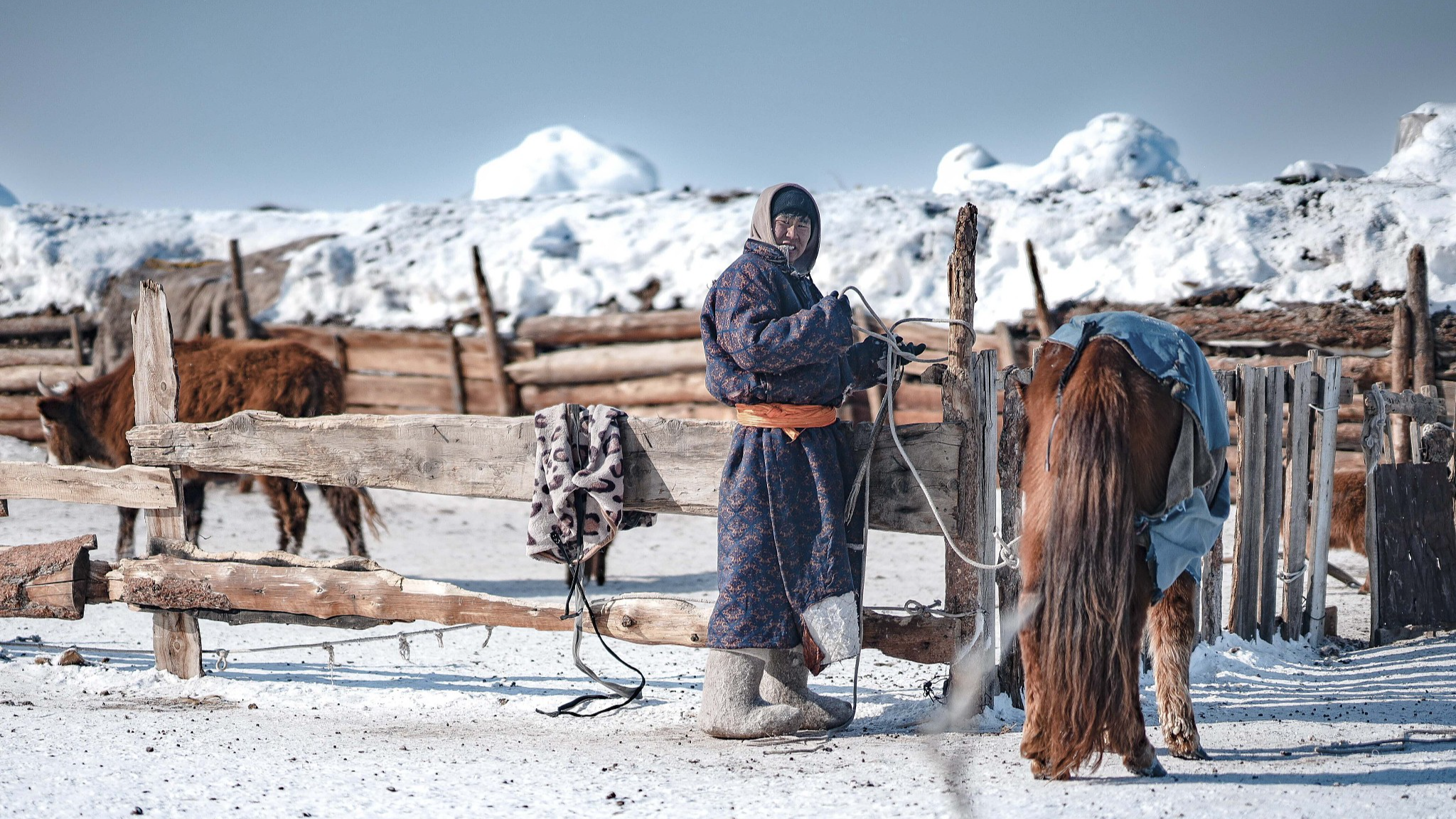 A Mongolian herdsman stands near his livestock in Ulaangom Soum, Uvs province, Mongolia, March 1, 2024. /CFP 