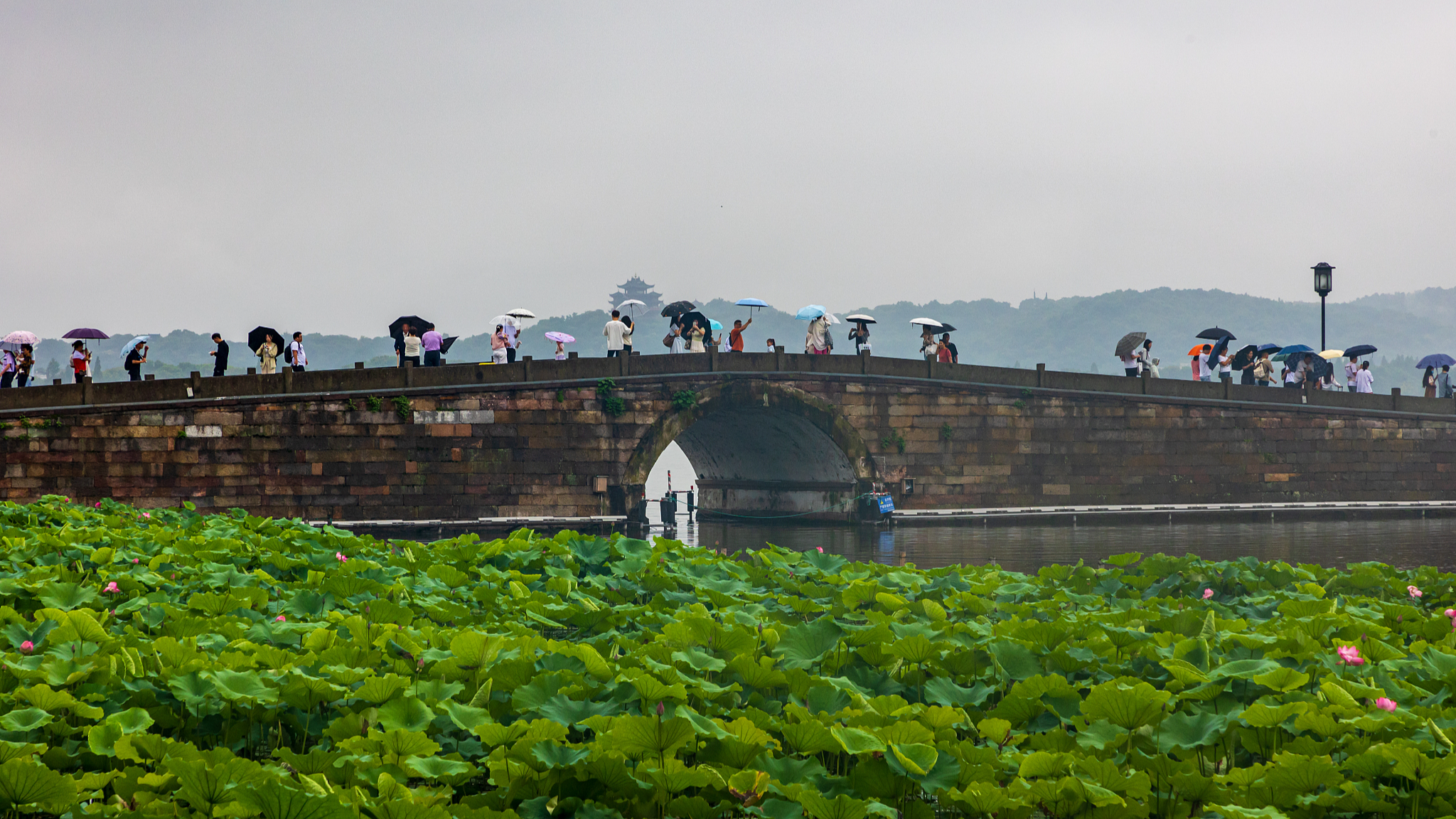 Tourists visit the West Lake scenic area in Hangzhou, China's Zhejiang Province, on a rainy day, June 11, 2024. /CFP