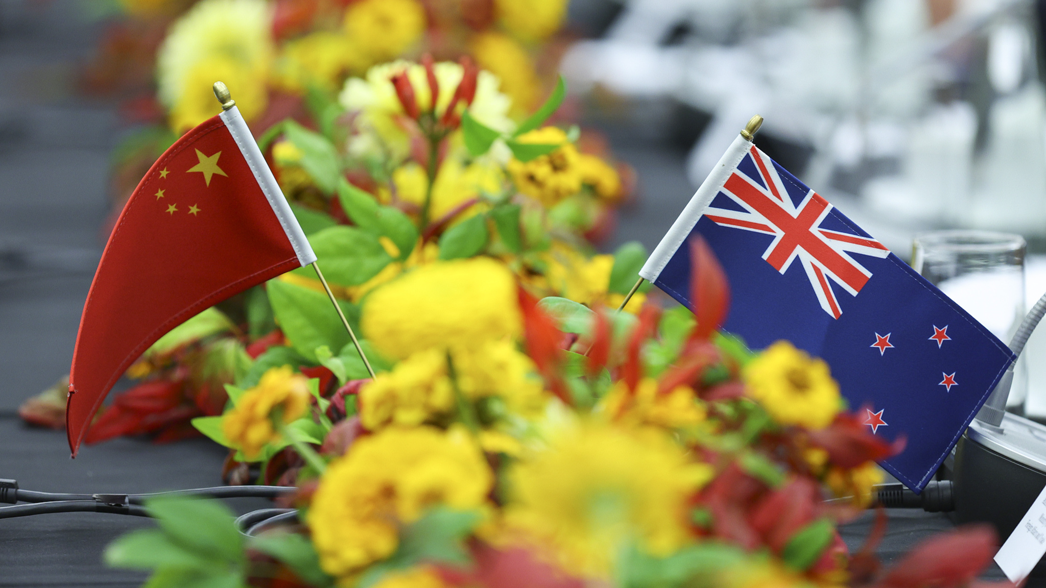 Chinese and New Zealand's flags. /CFP