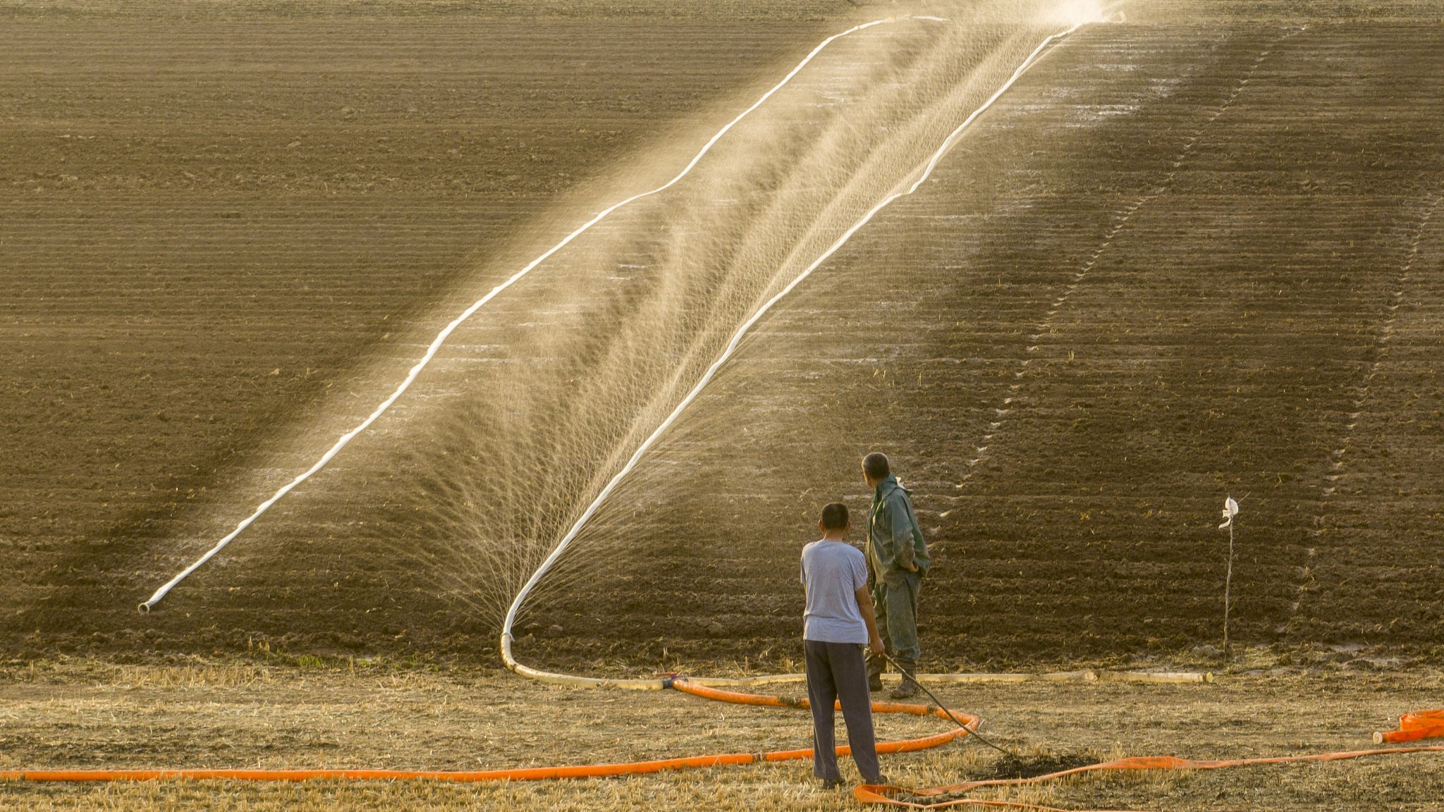 Farmers water their fields in Zhumadian City, central China's Henan Province, June 11, 2024. /CFP