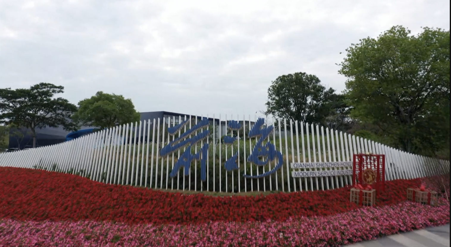 Qianhai zone helps Hong Kong youth realize their dreams