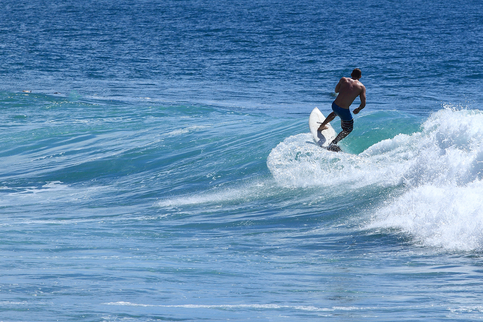 Brisbane attracts surfers from around the world with beaches that can offer excellent surfing. /IC