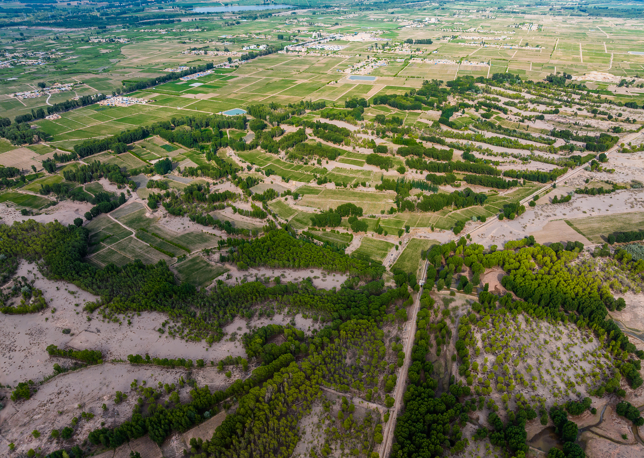 Forest belongs to the Three-North Shelterbelt Forest Program in Zhangye City in northwest China's Gansu Province. /CFP