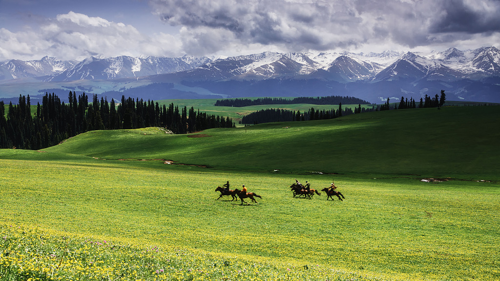 Live: Enchanting scenery of Kalajun Grassland in NW China's Xinjiang – Ep. 2