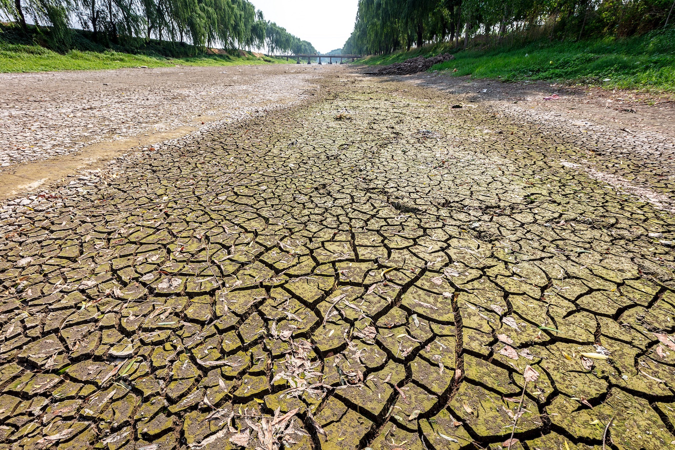 A section of the Jindi River is dried in Anyang City, Henan Province, central China, June 15, 2024. /CFP