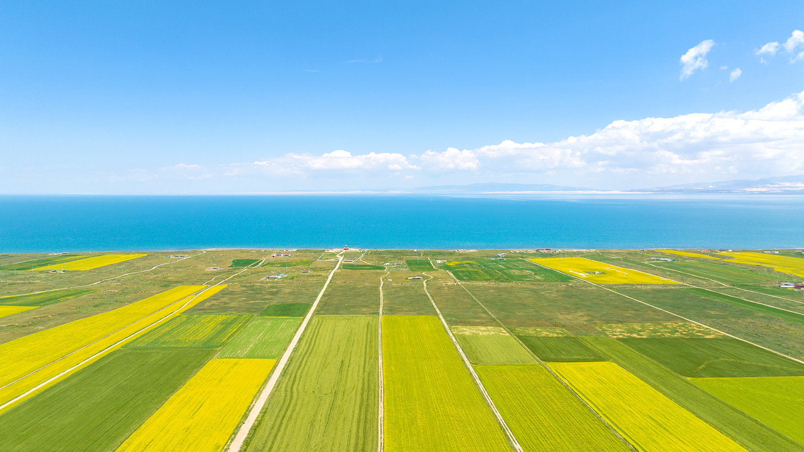 Qinghai: Land that breeds China's major rivers and myriad lives