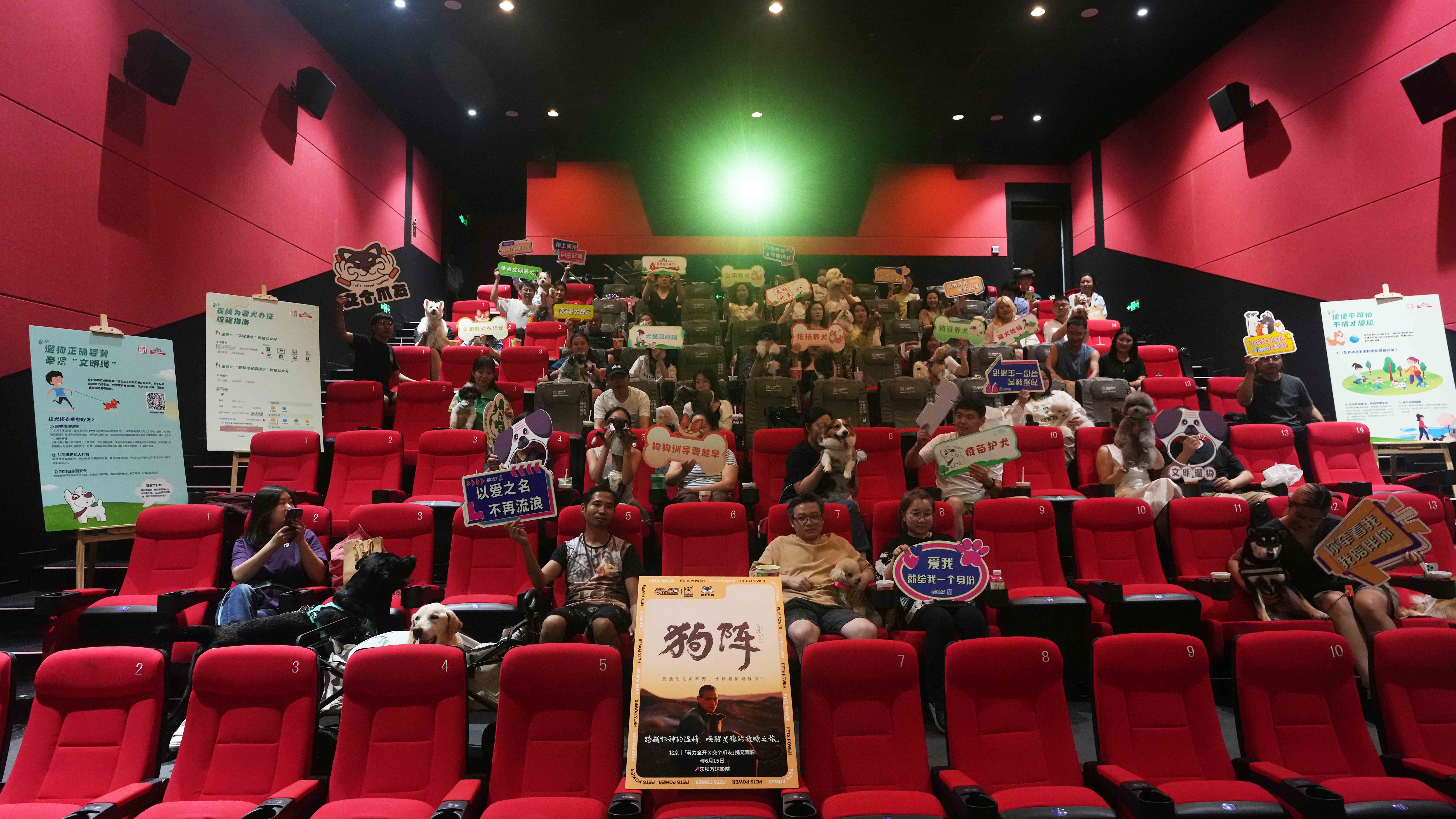 Dogs accompany owners to movie screening in Beijing